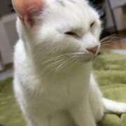 ヒメ日記 2025/03/02 10:25 投稿 えま 紳士の嗜み 大宮