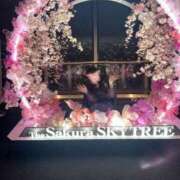 ヒメ日記 2025/04/15 15:28 投稿 海野　るな 響-HIBIKI-