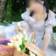 ヒメ日記 2025/04/16 13:06 投稿 海野　るな 響-HIBIKI-