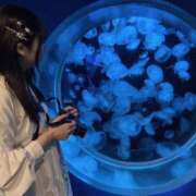 ヒメ日記 2025/06/18 20:24 投稿 海野　るな 響-HIBIKI-