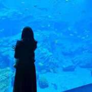 ヒメ日記 2025/10/31 16:38 投稿 海野　るな 響-HIBIKI-