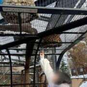 ヒメ日記 2025/12/08 07:58 投稿 海野　るな 響-HIBIKI-