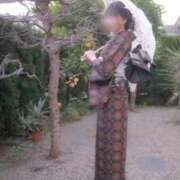 ヒメ日記 2025/12/31 08:28 投稿 海野　るな 響-HIBIKI-