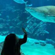 海野　るな 大人になってから 響-HIBIKI-