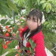 ヒメ日記 2026/06/10 23:15 投稿 海野　るな 響-HIBIKI-