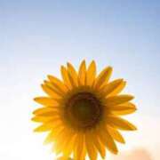 ヒメ日記 2025/09/14 19:38 投稿 つむぎ 完熟ばなな川崎