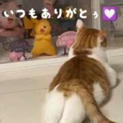 つむぎ 完熟バナナ横浜つむぎです♪ 完熟ばなな川崎