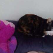 ヒメ日記 2025/06/26 17:50 投稿 紫 みつき ハレ系 メイドin福岡