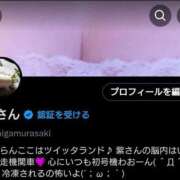 紫 みつき おにゅーあか！ ハレ系 メイドin福岡