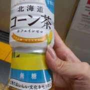 ヒメ日記 2025/08/17 21:26 投稿 向井 昼顔妻 五反田店