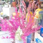 ヒメ日記 2025/10/16 13:46 投稿 向井 昼顔妻 五反田店