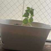 ヒメ日記 2026/01/20 15:48 投稿 なるみ 福生のおばちゃんデリヘル  オバタリAnn