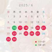 ヒメ日記 2025/06/16 13:36 投稿 かこ ペペピィーノ