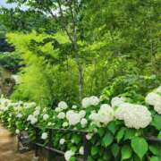 ヒメ日記 2025/09/16 19:44 投稿 えれな 福生のおばちゃんデリヘル  オバタリAnn