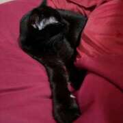 ヒメ日記 2025/03/22 18:31 投稿 あん イキなり生彼女from大宮