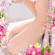 ヒメ日記 2025/04/08 13:23 投稿 みずほ 熟女の風俗最終章 新宿店