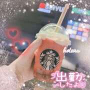 ヒメ日記 2025/05/16 12:56 投稿 ほたる 福生のおばちゃんデリヘル  オバタリAnn