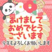 すみれ 今年も 成田人妻花壇