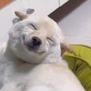 ヒメ日記 2026/02/02 17:01 投稿 すみれ 成田人妻花壇