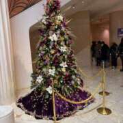 ヒメ日記 2025/12/06 12:22 投稿 あき セグレターリオ