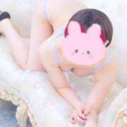 ヒメ日記 2026/05/11 11:49 投稿 あき セグレターリオ