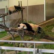 ヒメ日記 2025/04/02 19:46 投稿 まな 上野ハンドメイド