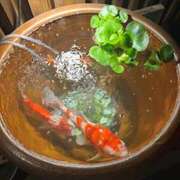 ヒメ日記 2025/06/23 18:30 投稿 まな 上野ハンドメイド