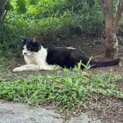 ヒメ日記 2025/08/29 23:02 投稿 まな 上野ハンドメイド