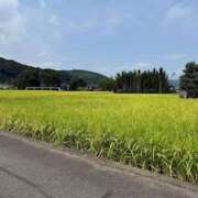 ヒメ日記 2025/09/14 19:52 投稿 まな 上野ハンドメイド