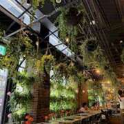 ヒメ日記 2025/11/23 14:36 投稿 まな 上野ハンドメイド