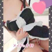 ヒメ日記 2025/09/25 17:59 投稿 前田あけみ メイドin中野（東京ハレ系）