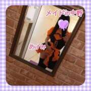 ヒメ日記 2025/10/24 01:15 投稿 前田あけみ メイドin中野（東京ハレ系）