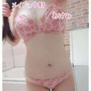 ヒメ日記 2025/11/09 14:38 投稿 前田あけみ メイドin中野（東京ハレ系）