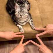 ヒメ日記 2025/03/07 18:20 投稿 紅音あこ メイドin中野（東京ハレ系）