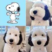 ヒメ日記 2025/03/15 02:29 投稿 紅音あこ メイドin中野（東京ハレ系）