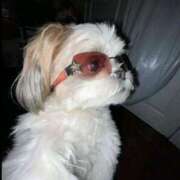 ヒメ日記 2025/03/22 19:07 投稿 紅音あこ メイドin中野（東京ハレ系）