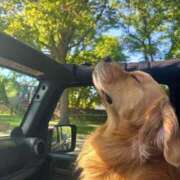 ヒメ日記 2025/04/12 22:14 投稿 紅音あこ メイドin中野（東京ハレ系）