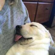 ヒメ日記 2025/06/06 13:30 投稿 紅音あこ メイドin中野（東京ハレ系）