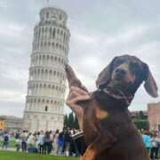 ヒメ日記 2025/06/12 19:51 投稿 紅音あこ メイドin中野（東京ハレ系）