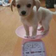 ヒメ日記 2025/06/20 18:19 投稿 紅音あこ メイドin中野（東京ハレ系）