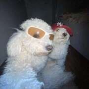 ヒメ日記 2025/06/26 10:05 投稿 紅音あこ メイドin中野（東京ハレ系）