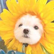 ヒメ日記 2025/07/13 02:24 投稿 紅音あこ メイドin中野（東京ハレ系）