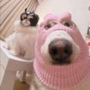 ヒメ日記 2025/07/18 23:33 投稿 紅音あこ メイドin中野（東京ハレ系）