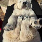 ヒメ日記 2025/07/19 22:58 投稿 紅音あこ メイドin中野（東京ハレ系）