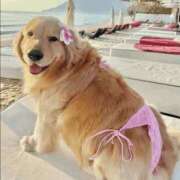 ヒメ日記 2025/08/07 19:45 投稿 紅音あこ メイドin中野（東京ハレ系）