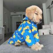 ヒメ日記 2025/08/15 15:45 投稿 紅音あこ メイドin中野（東京ハレ系）