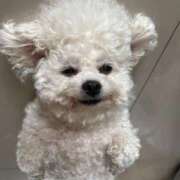 ヒメ日記 2025/08/29 23:33 投稿 紅音あこ メイドin中野（東京ハレ系）