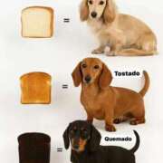 ヒメ日記 2025/09/06 11:05 投稿 紅音あこ メイドin中野（東京ハレ系）