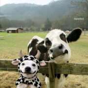 ヒメ日記 2025/09/12 23:26 投稿 紅音あこ メイドin中野（東京ハレ系）