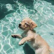 ヒメ日記 2025/09/25 17:35 投稿 紅音あこ メイドin中野（東京ハレ系）